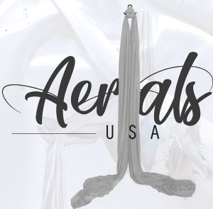 silver aerial silks set for sale