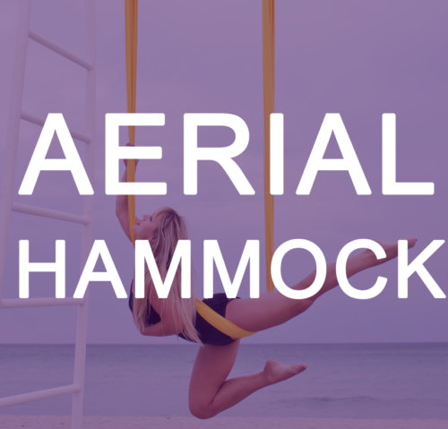 Aerial Yoga Hammock