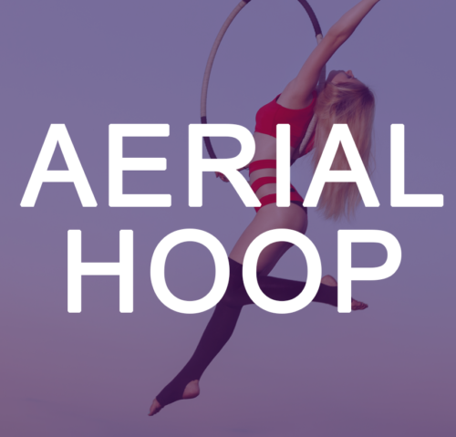 Aerial Lyra/Hoop