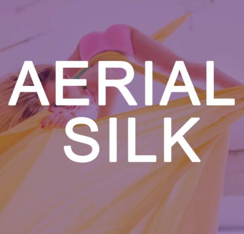 Aerial Silks