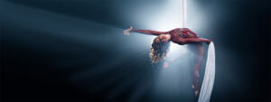 Aerials USA Checkout