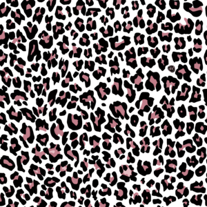 aerials-usa-Leopard complete-8000x